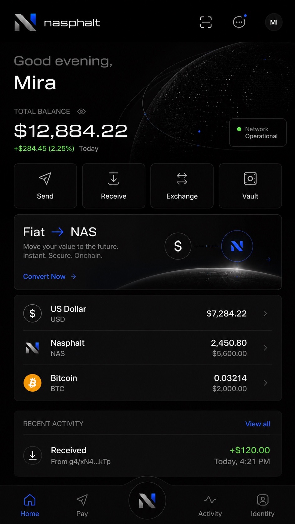 NASPHALT home screen mockup